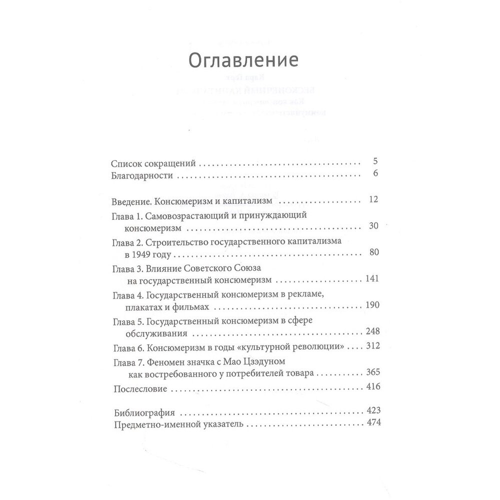 Бесконечный капитализм. Как консюмеризм свел на нет коммунистическую революцию в Китае - фото №6