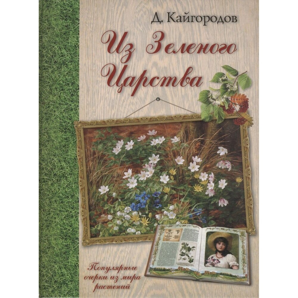 Из Зеленого Царства. Популярные очерки из мира растений - фото №13