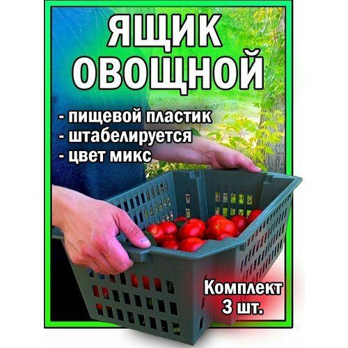 Ящик пластиковый тара для хранения овощей фруктов урожая штабелируемый