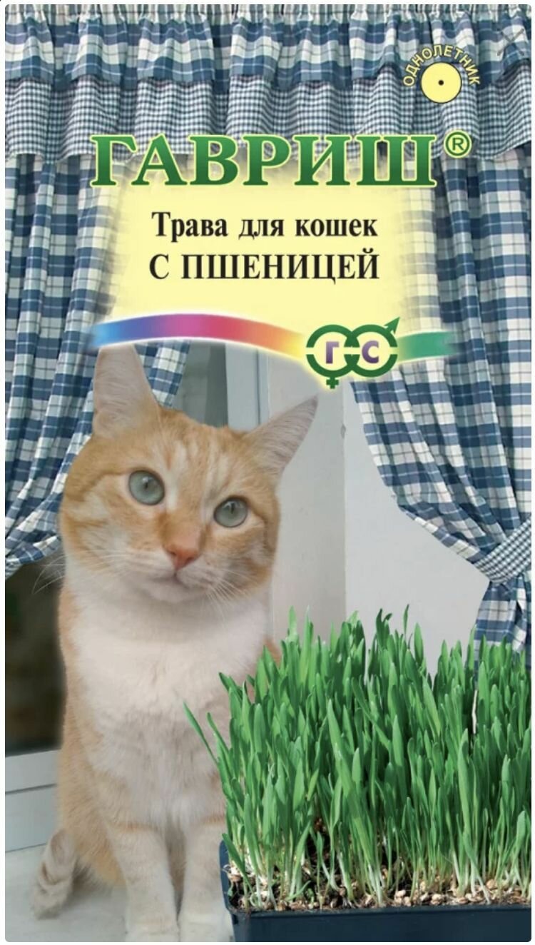 Трава для кошек с пшеницей 1 пакет семена 10г Гавриш быстрорастущая для балкона подоконника и открытого грунта