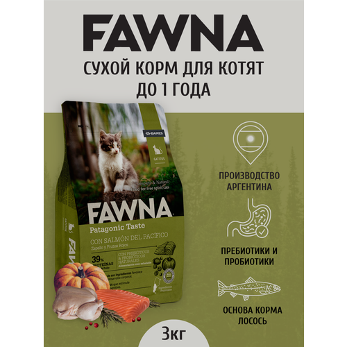 Сухой корм Fawna Kitten для котят, лосось, тыква, красные ягоды 3кг.