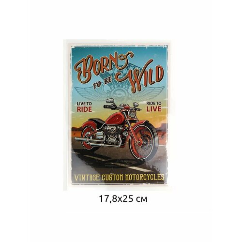 фото Термотрансфер арт. tby.1282 born to be wild 17,8х25см, уп.2шт