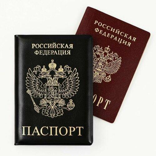 Обложка для паспорта  9761365, черный