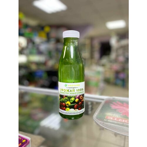 Удоб жидкое Суспензия Хлореллы Неолайф Конц 0,5л 1/25