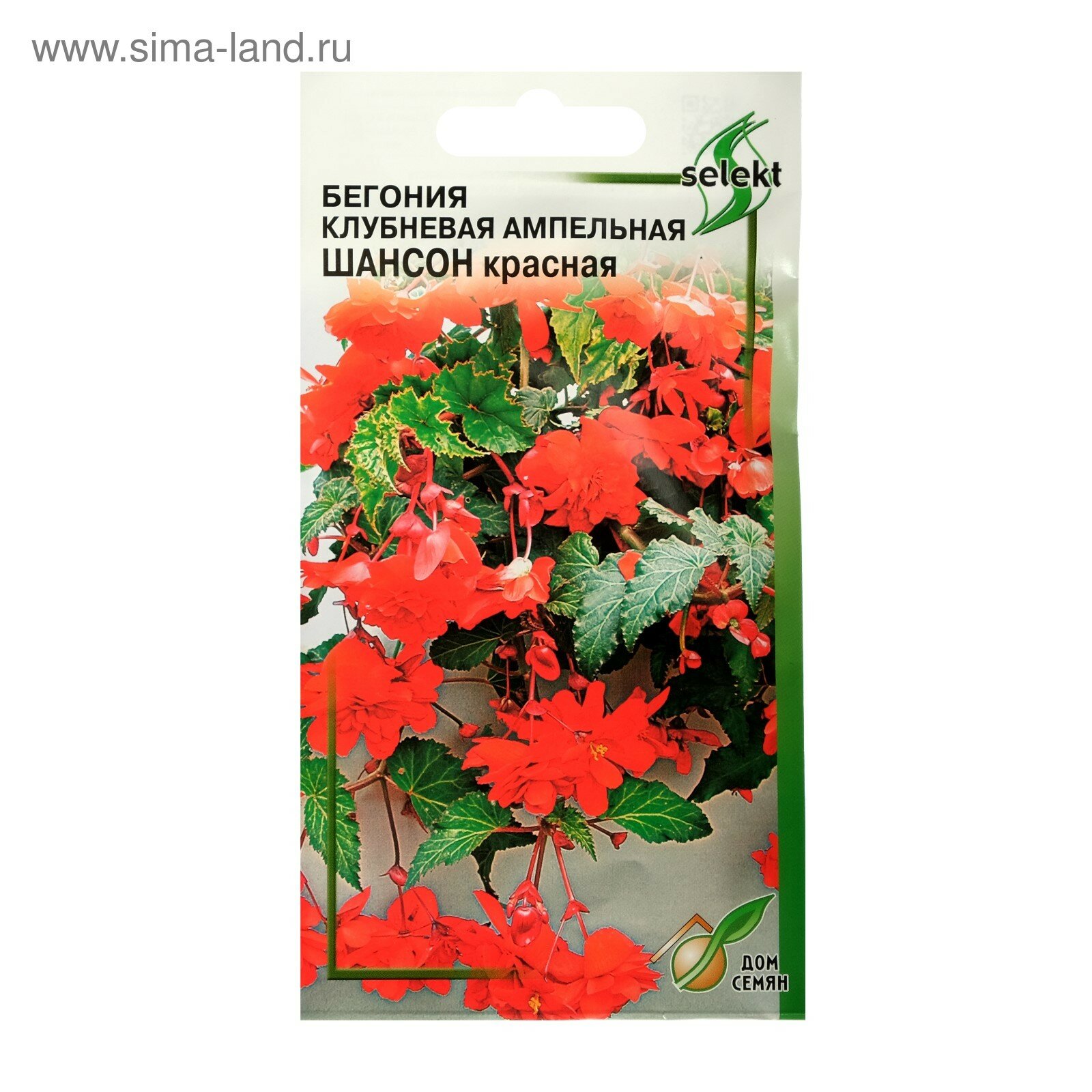 Семена цветов Бегония клубневая ампельная махровая 
