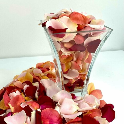 Лепестки роз Разноцветные живые на свадьбу, для ванны, для фотосессии, 1 литр, Лэтуаль Flowers