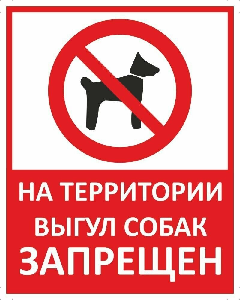 Табличка "На территории выгул собак запрещен" А4 (30х21см)