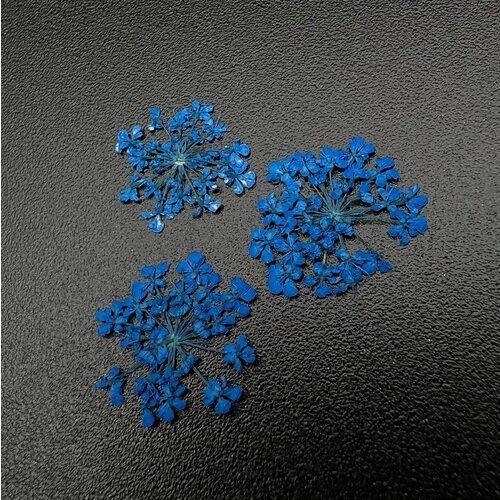 Zoo Nail Art 1679 Сухоцветы 