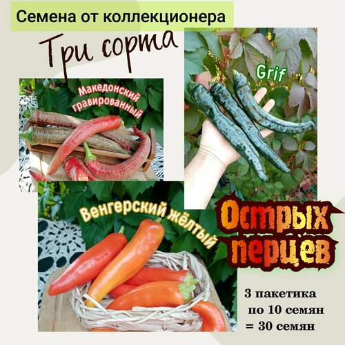 Перец острый, Македонский гравированный, Grif, Венгерский жёлтый, 30 семян семена перец острый венгерский жёлтый