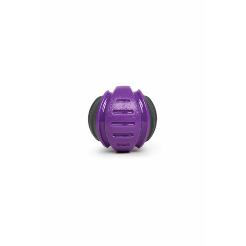 Мяч для собак с пищалкой из комбинированного материала, Играй Гуляй, размер S, цвет: черный + фиолетовый