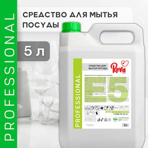 Рева Средство для мытья посуды Reva Care Professional моющее средство для кухни, химия для клининга дома, 5 литров