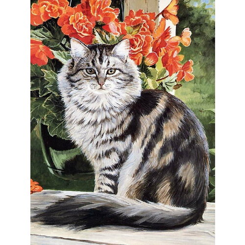 Алмазная картина 40х50 Полосатый кот с подрамником