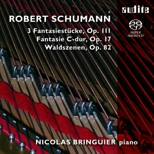 AUDIO CD Schumann: Fantasie C-dur, Waldszenen, 3 Fantasiestü