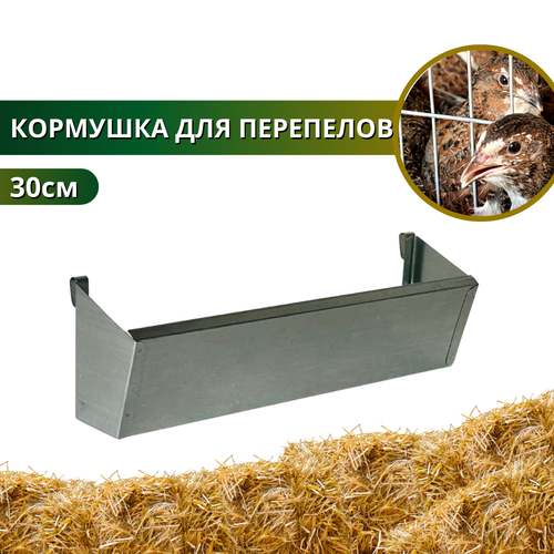 Кормушка 30 см перепелиная