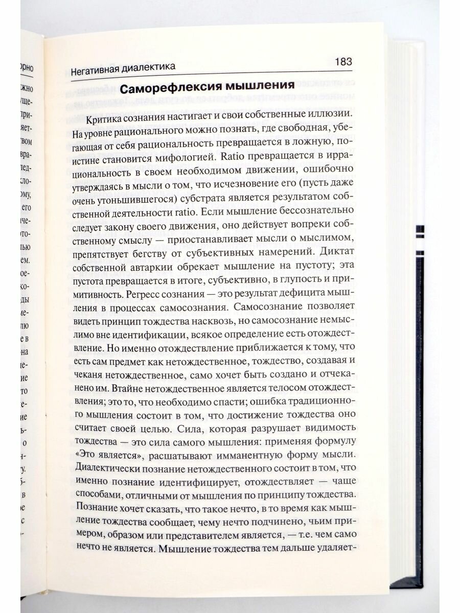 Негативная диалектика (Теодор Визенгрунд Адорно) - фото №10