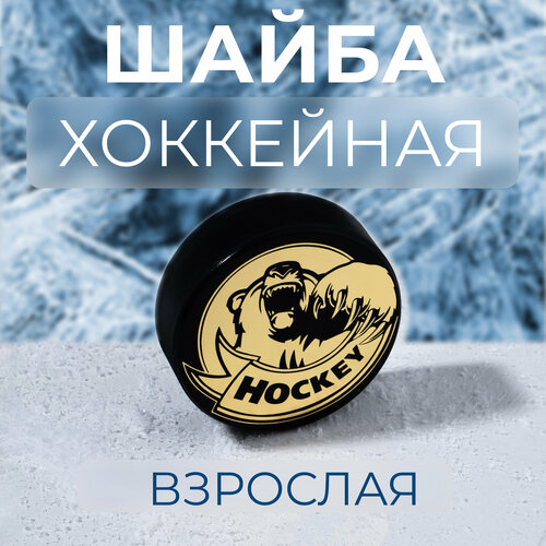 Шайба хоккейная Winter Star, взрослая, цвет черный