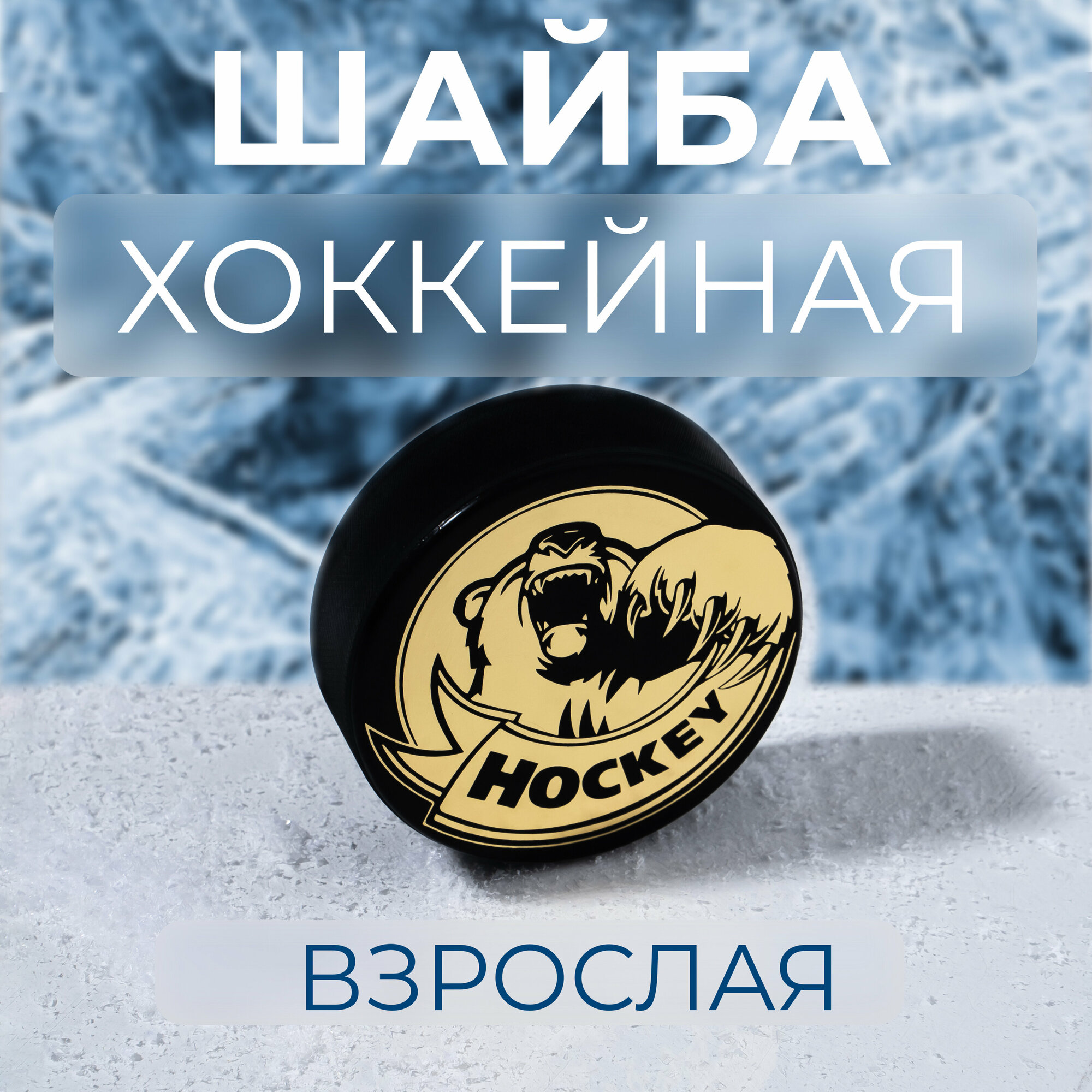 Шайба хоккейная Winter Star взрослая цвет черный