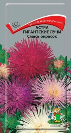 Астра Гигантские лучи Смесь окрасок 03гр. (Поиск)
