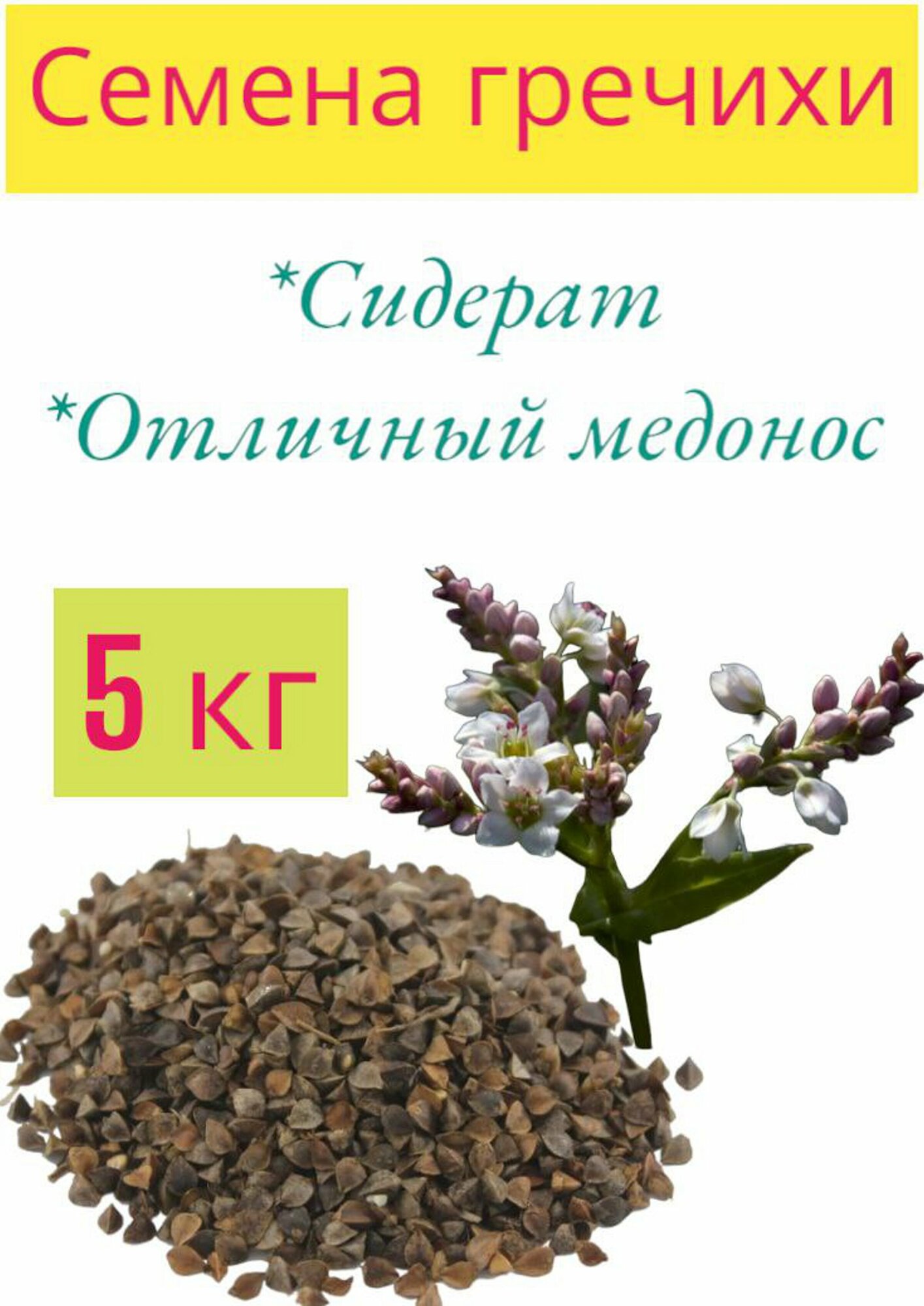Гречиха семена сидерат медонос 5 кг