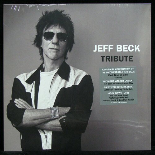 Виниловая пластинка Rhino Jeff Beck – Tribute виниловая пластинка beck jeff wired 0194397926118