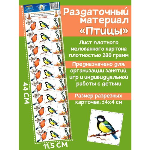 Раздаточный материал 