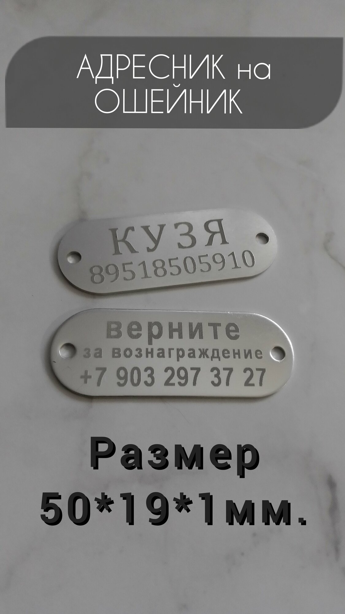 Адресник на ошейник или шлейку для собак и кошек