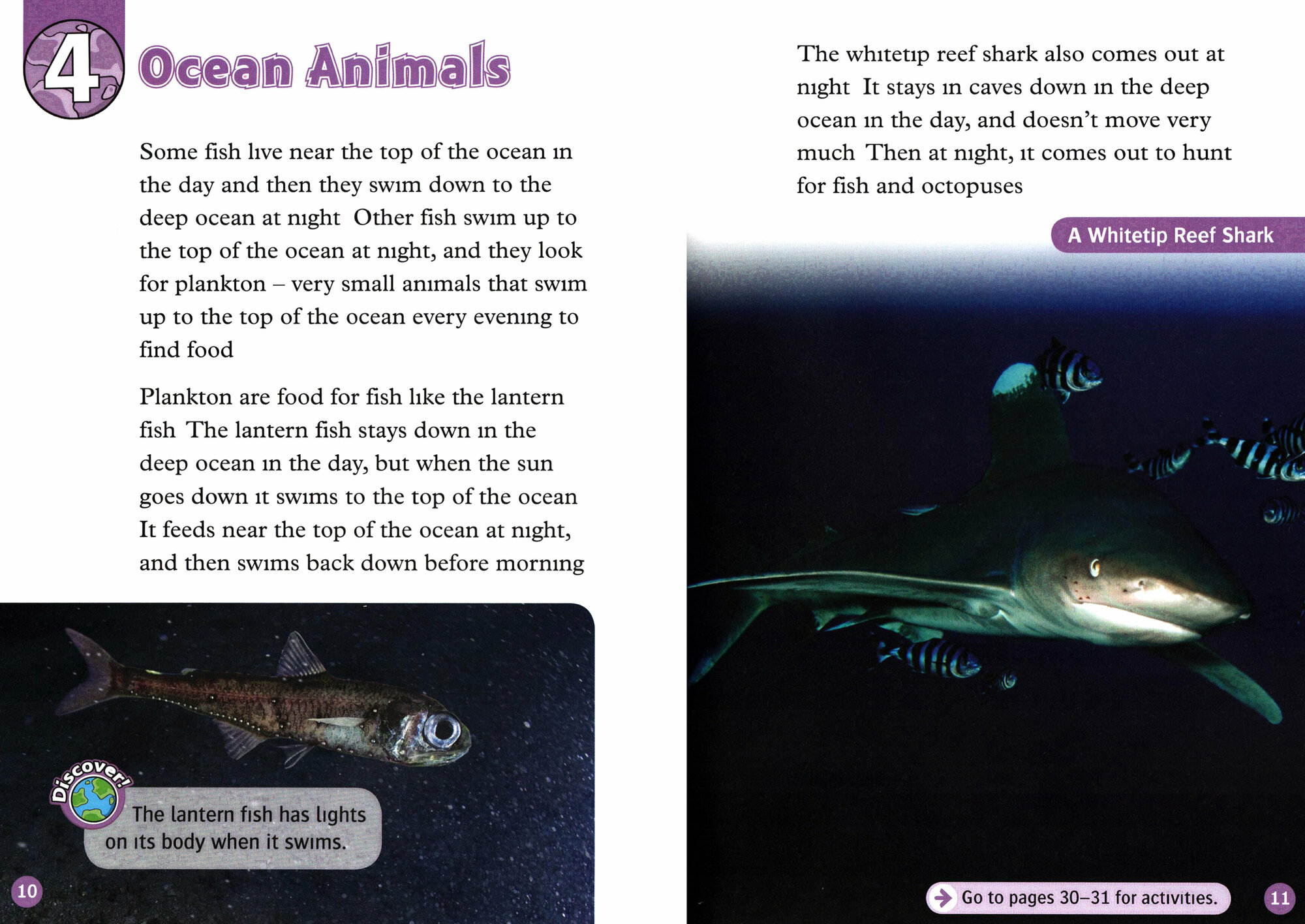 Bladon Rachel "Animals at Night" офсетная - фото №2