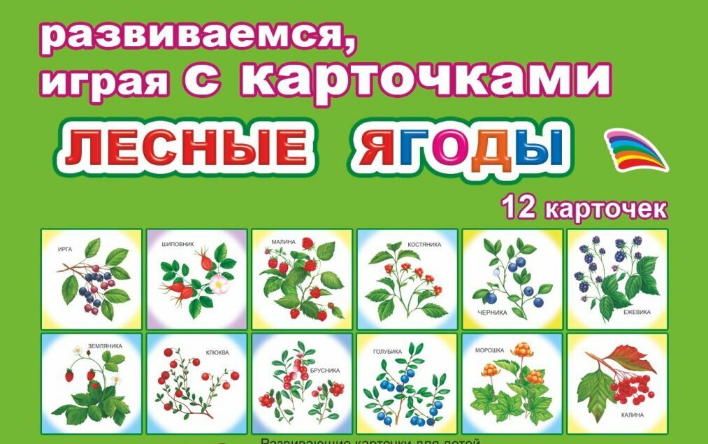 Карточки лесные ягоды: 12 шт. в комплекте. Развивающие карточки для детей дошкольного и младшего школьного возраста, Леда-АлфеД