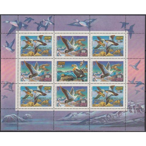 Почтовые марки Россия 1993г. Утки Птицы, Утки MNH почтовые марки куба 2006г птицы утки птицы утки mnh