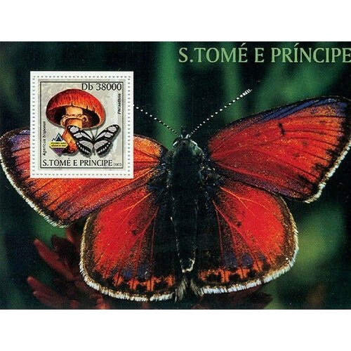 Почтовые марки Сан-Томе и Принсипи 2003г. Грибы и бабочки - Шампиньон и Филаэтрия Грибы, Бабочки MNH