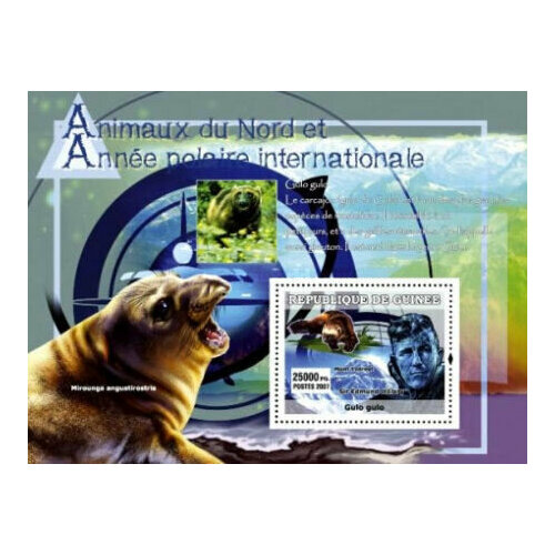 Почтовые марки Гвинея 2007г. Международный полярный год и животные Севера Фауна, Актеры MNH