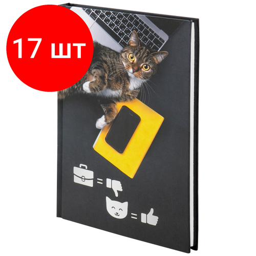 Комплект 17 шт, Блокнот А5 (135х206 мм), 80 л, твердый, выборочный лак, клетка, STAFF, Милый котик, 111603