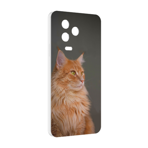 Чехол MyPads кошка мейн кун 1 для Infinix Note 12 2023 (X676C) задняя-панель-накладка-бампер