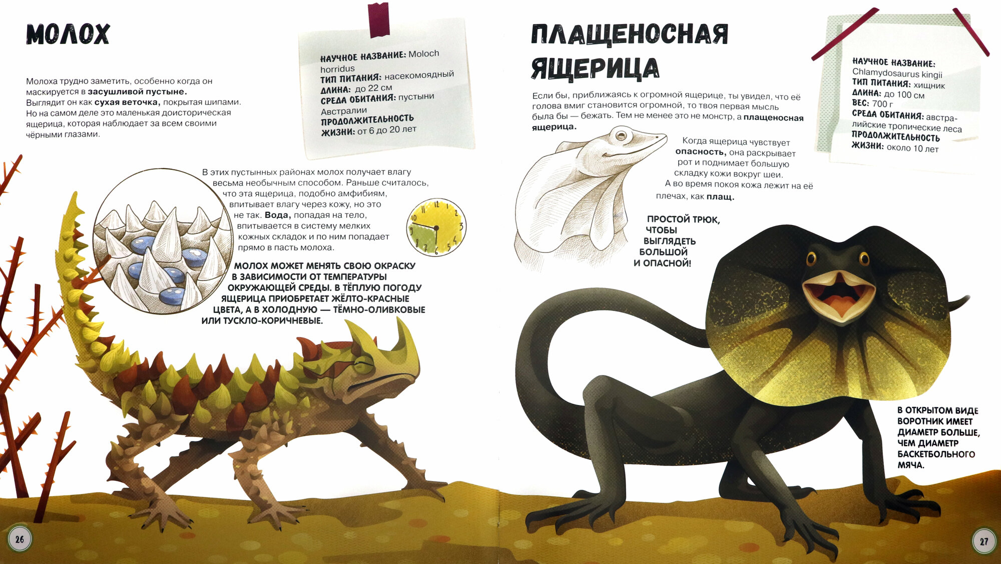 Самые странные животные. (Банфи Кристина Мария) - фото №6