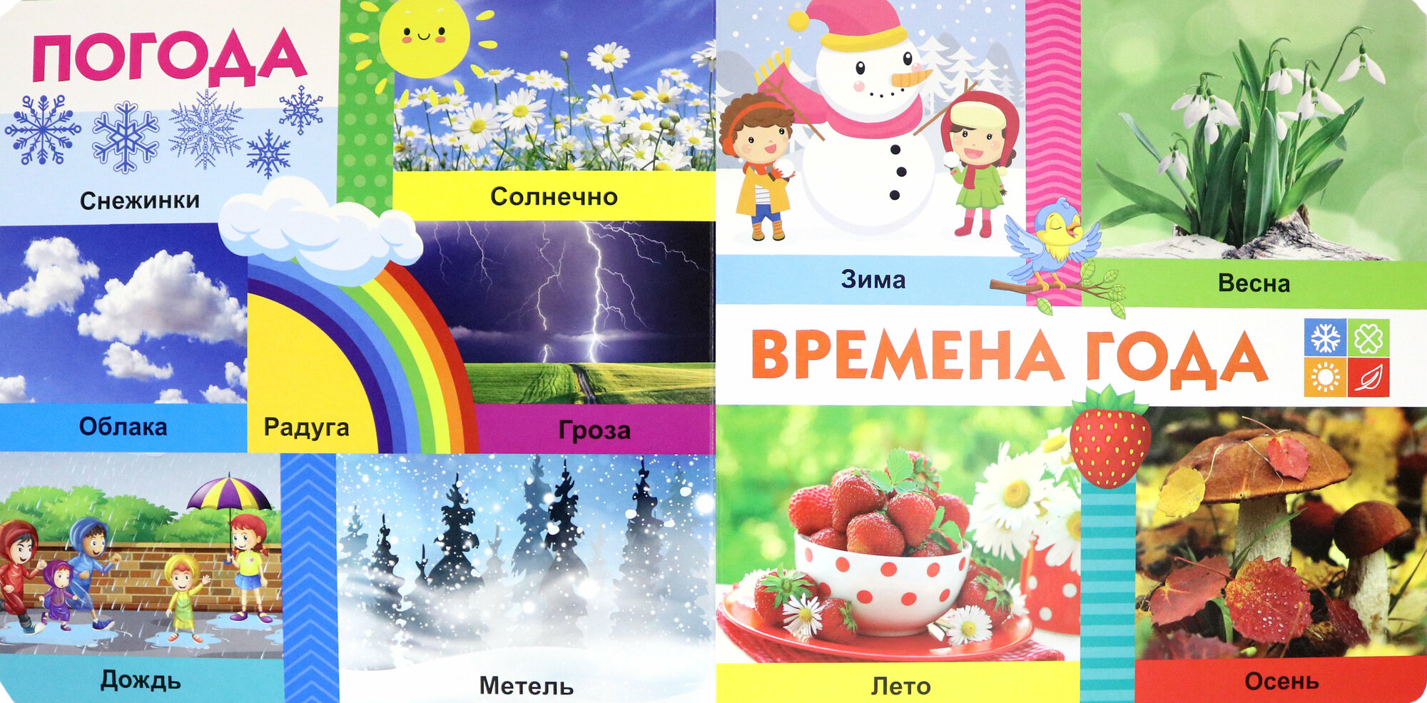 Твои любимые книжки. Мир вокруг тебя - фото №3