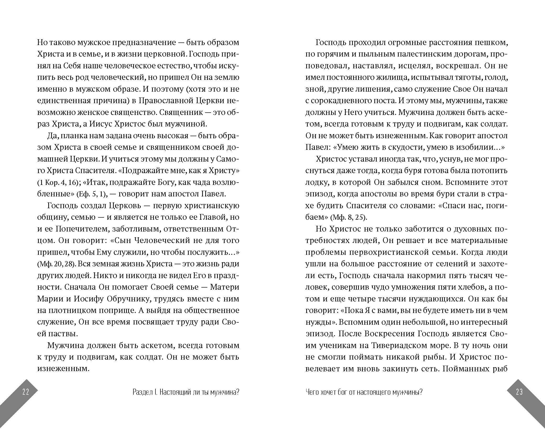 Настоящий мужчина — кто он? (Протоиерей Лоргус Андрей; Протоиерей Ткачев Андрей; Протоиерей Гумеров Павел) - фото №10