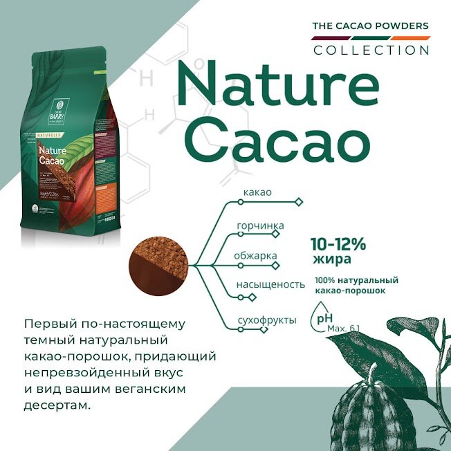 Какао-порошок Cacao Barry NATURE CACAO, 10-12%, 1 кг - фотография № 8