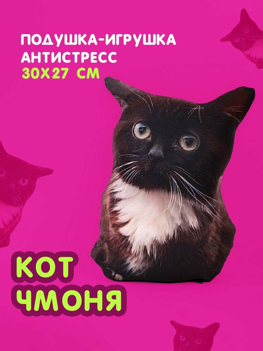 Чмоня маленький кот...