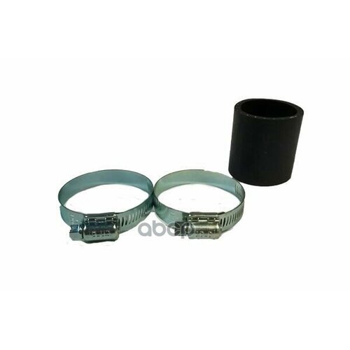 BUGIAD 81866 _Патрубок интеркуера