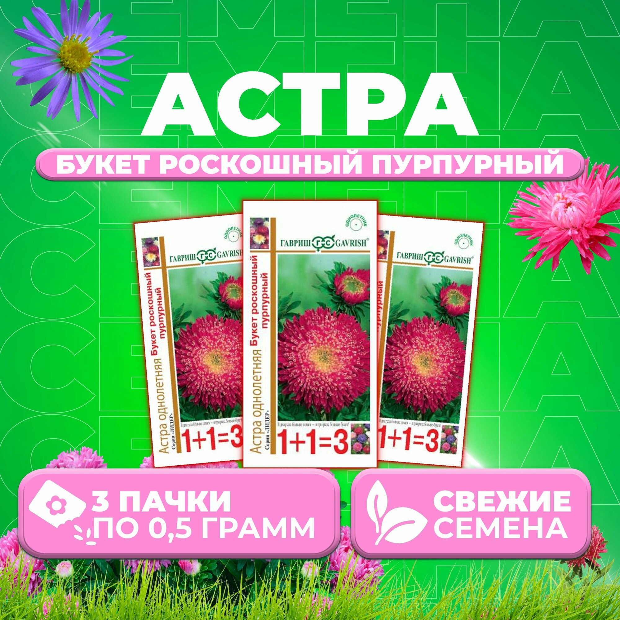 Астра Букет роскошный пурпурный 05г Гавриш серия Лидер 1+1 (3 уп)