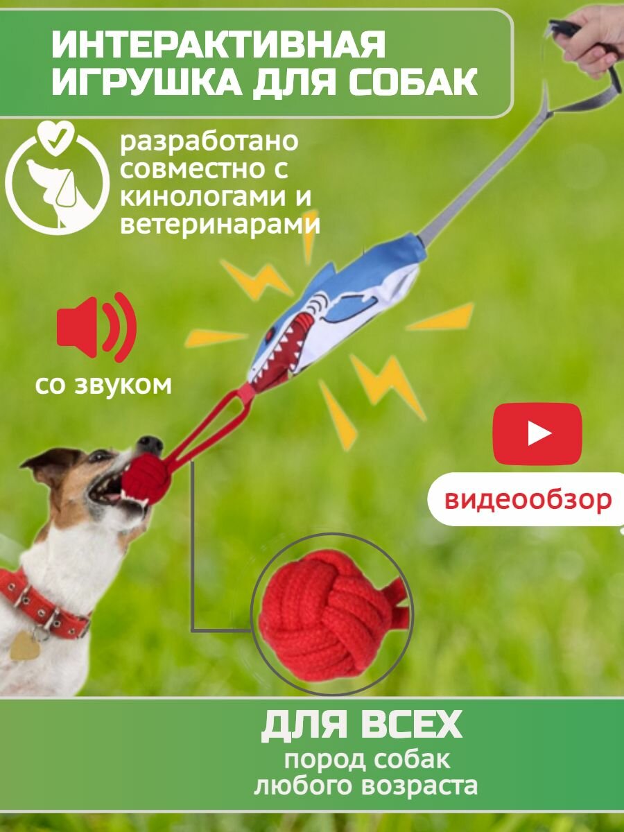 Интерактивная игрушка для собак со звуком