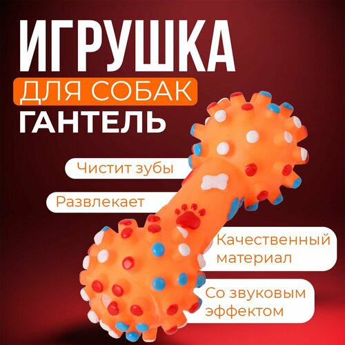 Виниловая игрушка для собак 