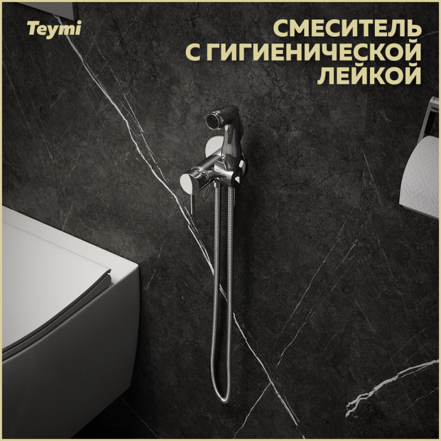 фото Смеситель с гигиенической лейкой Teymi Lina, черный матовый T10230