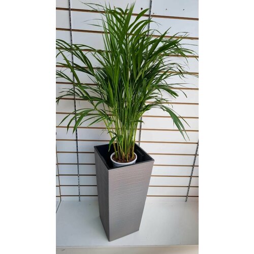 Кашпо пластиковое с системой автополива. Размер 25х25хН46 см.