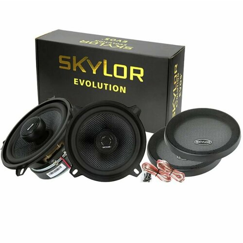 Динамики 5130мм коаксиальный EVO5 5166₽