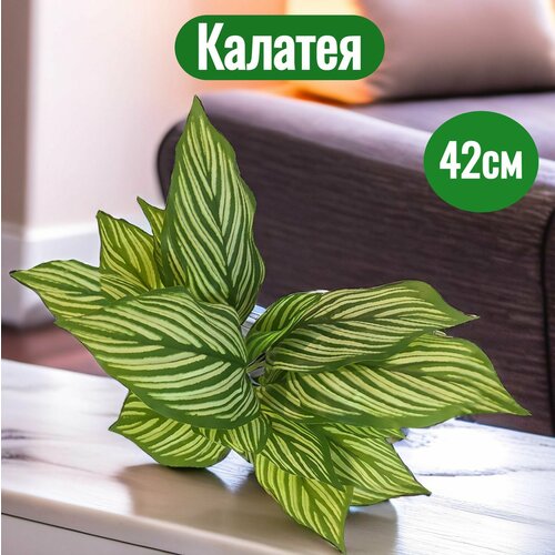 Растение искусственное Калатея , 42 см