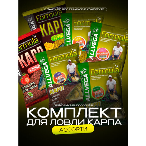 Набор прикормки натуральной ALLVEGA Formula Ассорти Карп (6 штук) allvega прикормка allvega team allvega carp carassin карп карась 1кг