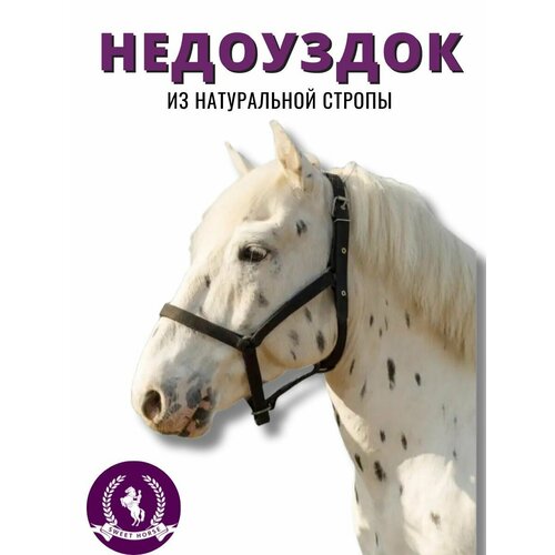 Sweethorse / Недоуздок из натуральной стропы, черный, размер Cob
