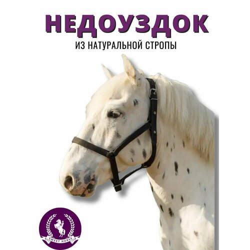 Недоуздок