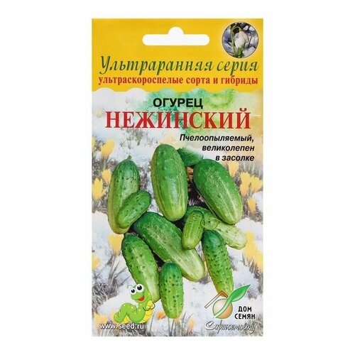 Семена Огурец Нежинский, 10 шт ( 1 упаковка )
